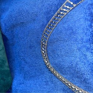 Charming Charlie Choker Silver Double Chain